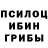 Псилоцибиновые грибы Cubensis Debilus Maximus