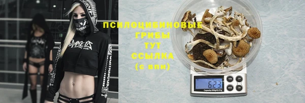 прущие крисы Алексеевка