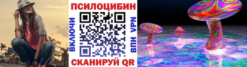 Псилоцибиновые грибы мицелий  Дмитриев 